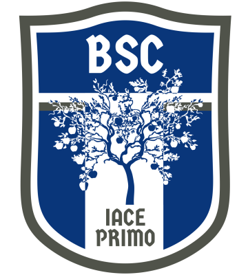 BSC_Logo.jpg